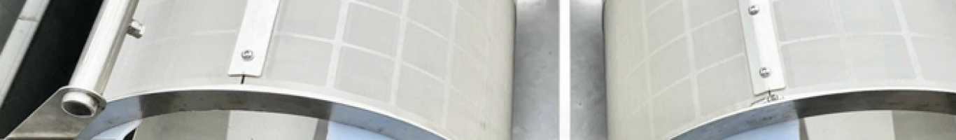 Thiết Kế Thi Công Hồ Cá Koi Gia Phát