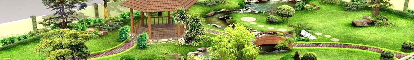 Thiết Kế Thi Công Hồ Cá Koi Gia Phát