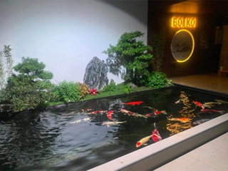 thiết kế hồ cá koi đồng nai