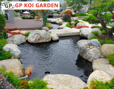 THI CÔNG HỒ CÁ KOI TẠI VINHOMES RIVERSIDE ANH ĐÀO – CHỊ HẢI