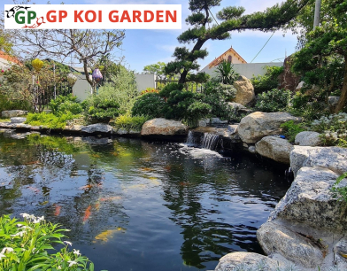 CÔNG TRÌNH HỒ NHÀ ANH HẢI Ở LONG AN