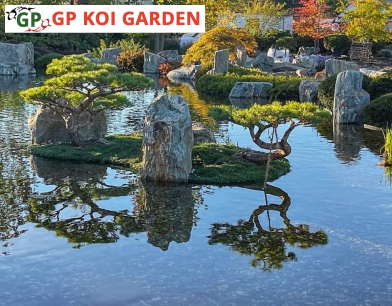 THI CÔNG HỒ CÁ KOI TẠI THỦ ĐỨC, TP HỒ CHÍ MINH – ANH QUẾ