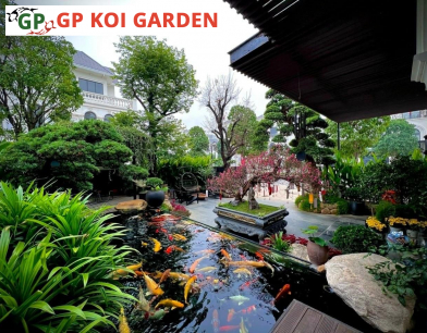 CÔNG TRÌNH BIỆT THỰ NHÀ CHỊ HÀ Ở QUẬN 9