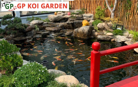 Góc Chia Sẻ & Kiến Thức Phong Thuỷ