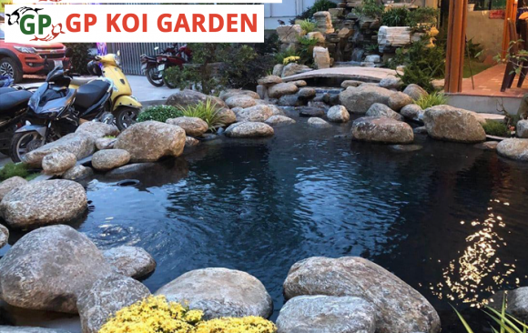 Thiết Kế Thi Công Hồ Cá Koi